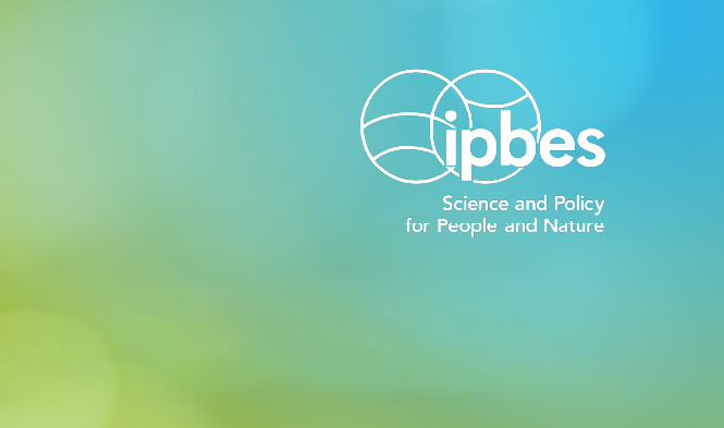 ood due to heavy rainfall at Neckargemund at the Neckar river in southern Germany in early summer. Source: Jens Hertel , Adobe Stocks, #441425883